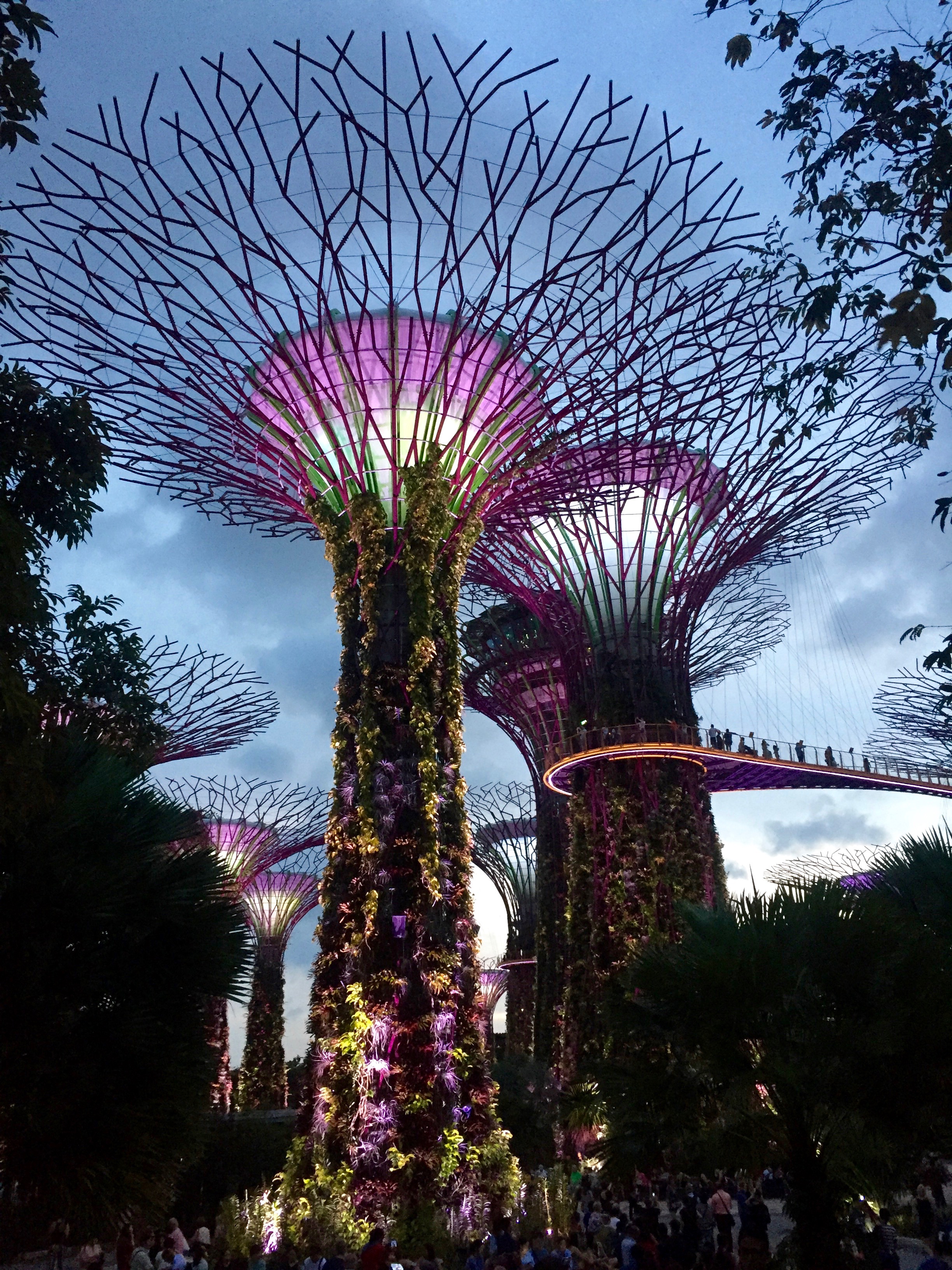 Singapore's supertrees